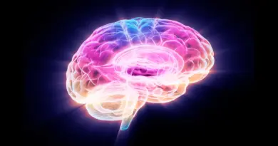 Scientists just found a protein that reverses brain aging