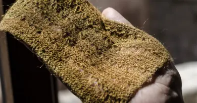 A hand holds a woven patch of sea silk