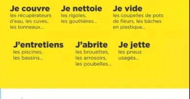 🦟 Se protéger du moustique, c’est se protéger des maladies !