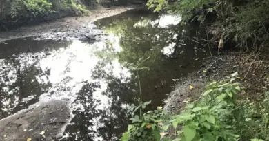 Sécheresse. La situation se dégrade dans la région des Pays de la Loire
