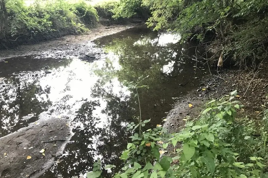 Sécheresse. La situation se dégrade dans la région des Pays de la Loire