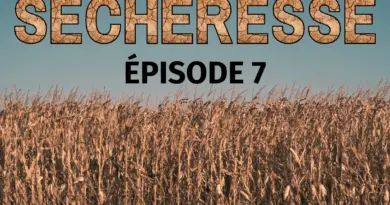 Sécheresse : cultivons l'eau verte