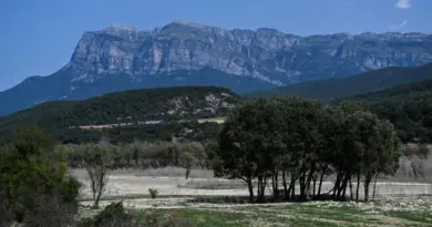 Sécheresse record pour un début août en Europe et sur le pourtour méditerranéen - RTBF Actus