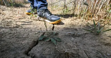 Sécheresse : une partie de la Loire passe en mode "crise" - ici