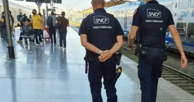 Seine-et-Marne : le fraudeur aux billets de train condamné pour amendes impayées