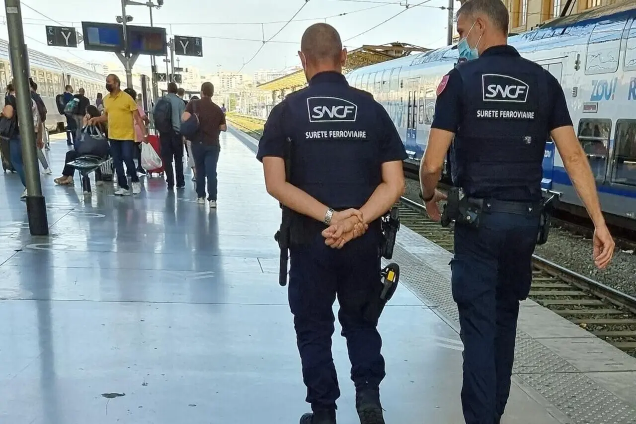 Seine-et-Marne : le fraudeur aux billets de train condamné pour amendes impayées