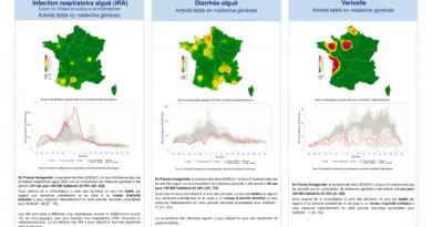 Semaine 202531 - Varicelle - Activité faible en Pays de la Loire