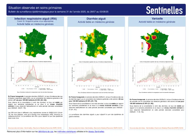 Semaine 202531 - Varicelle - Activité faible en Pays de la Loire