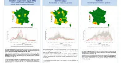 Semaine 202532 - Infection respiratoire aiguë (IRA) - Activité faible en Corse