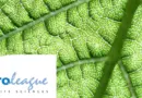 Semaine Erasmus + à l'Institut Agro Montpellier pour les personnels de soutien à la recherche du réseau ELLS