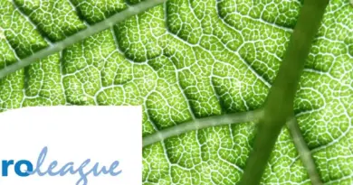 Semaine Erasmus + à l'Institut Agro Montpellier pour les personnels de soutien à la recherche du réseau ELLS