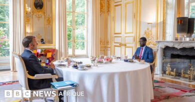 Sénégal - France : Bassirou Diomaye Faye et Emmanuel Macron posent les jalons d’un nouveau partenariat  - BBC News Afrique