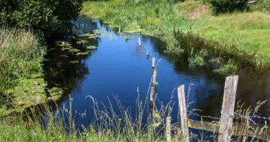 Sentier nature de Douy Cloyes-les-Trois-Rivières Centre-Val de Loire