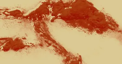 Séquelle #61 : S’accrocher avec Juliette Rousseau pour dire le pays - L'Humanité