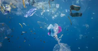 Sommet sans accord sur le plastique : et maintenant ?