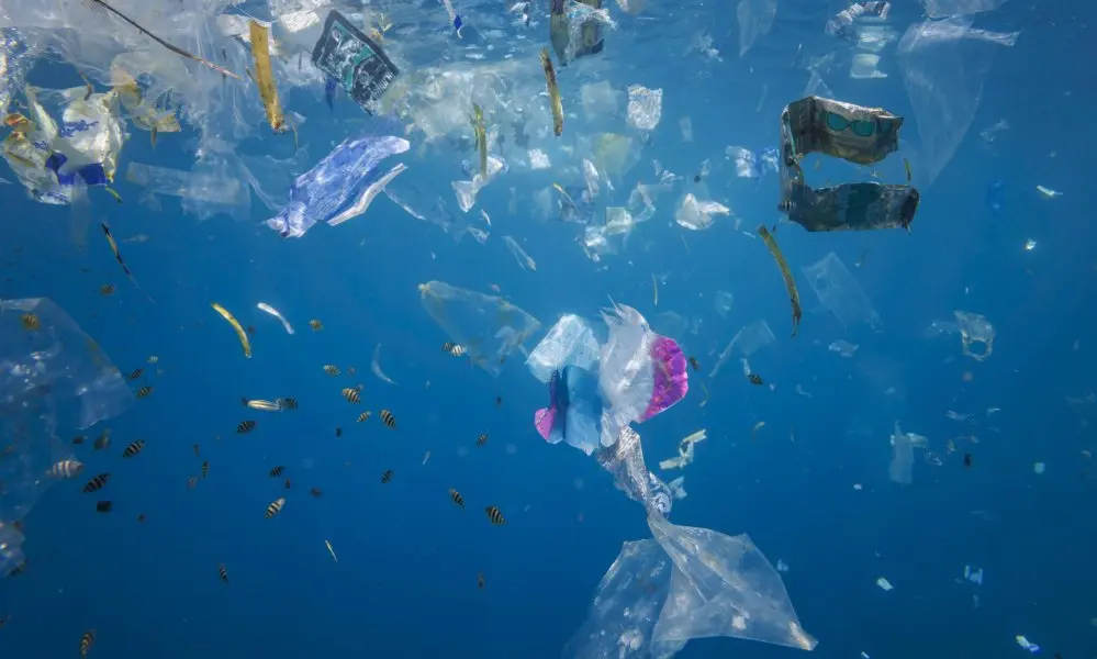 Sommet sans accord sur le plastique : et maintenant ?