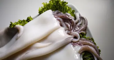 cooking, recipe, food, cuisine, gastronomy, gourmet, chef, kitchen