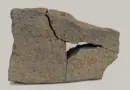 Strange spotted rock on Mars could reveal signs of ancient life
