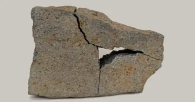 Strange spotted rock on Mars could reveal signs of ancient life