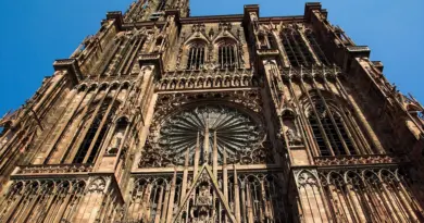 Grand Est, Strasbourg, Reims, vineyard, Alsace, Vosges, forest, cathedral, village