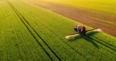 Subventions dommageables à la biodiversité : le ministère de l'Agriculture fait cavalier seul