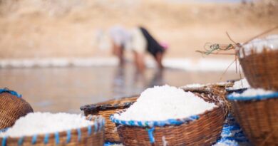 Sunu Océan - La France aux côtés du Sénégal pour une transition écologique juste et engagée