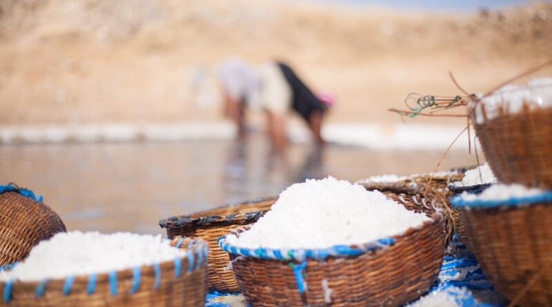 Sunu Océan - La France aux côtés du Sénégal pour une transition écologique juste et engagée