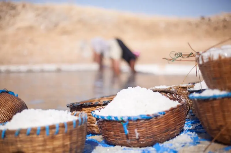 Sunu Océan - La France aux côtés du Sénégal pour une transition écologique juste et engagée