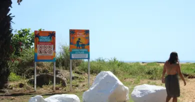 Sur la plage de Bourda, des panneaux rappellent l'interdiction de baignade