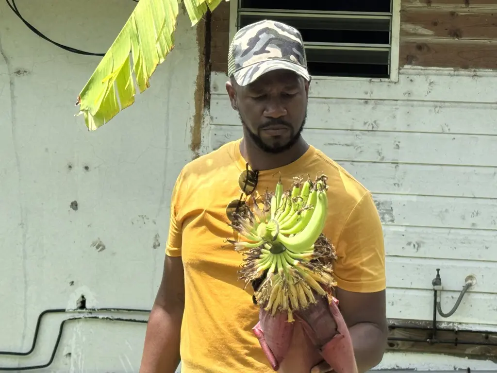 Sylvio James, de la cueillette à la pâtisserie fine