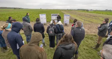 Syppre : chiffrer la transition agroécologique