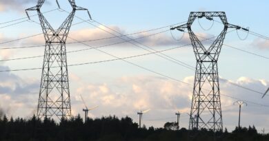 Système électrique : la montée en puissance des flexibilités s'organise