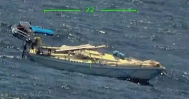 TÉMOIGNAGE : Enlisée dans un banc de sargasses, une navigatrice doit laisser son bateau à la dérive pour s'en sortir