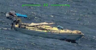 TÉMOIGNAGE : Enlisée dans un banc de sargasses, une navigatrice doit laisser son bateau à la dérive pour s'en sortir