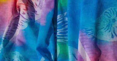 Polynésie française, Tahiti, Bora Bora, lagoon, beach, palm, coral, overwater, island