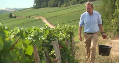 TÉMOIGNAGE. "On peut avoir une année exceptionnelle" : les vendanges s'annoncent prometteuses pour ce producteur de champagne