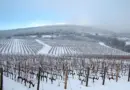 Occitanie, Toulouse, Montpellier, landscape, sea, mountain, vineyard, canal