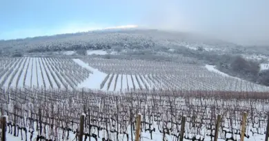Occitanie, Toulouse, Montpellier, landscape, sea, mountain, vineyard, canal