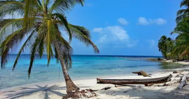 Martinique, Fort-de-France, beach, volcano, palm, rainforest, Creole, boat, island