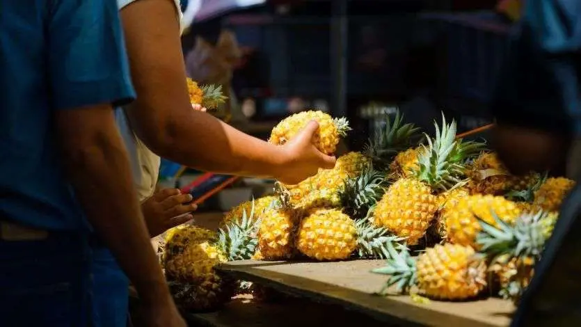 Taches noires dans les ananas : la filière annonce des mesures d’urgence