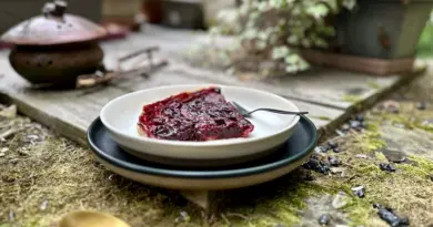 Tarte aux prunes - Les Pépites de Noisette