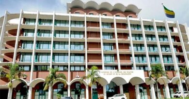 Taxes parafiscales : les opérateurs économiques encouragés à s’opposer aux prélèvements illégaux | Gabonreview.com | Actualité du Gabon |