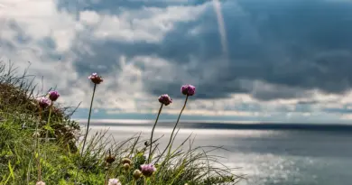 Bretagne, Rennes, Brest, coast, lighthouse, beach, village, Celtic, cliffs, landscape