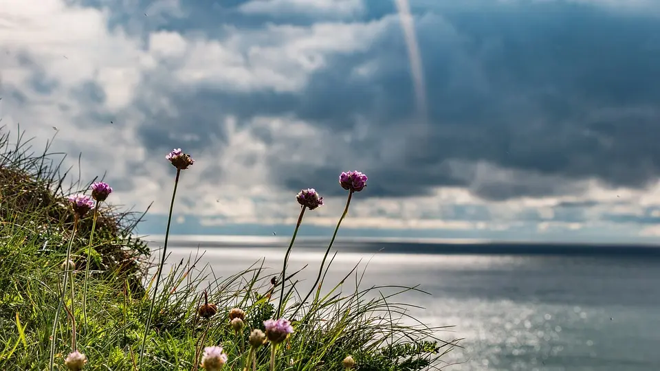 Bretagne, Rennes, Brest, coast, lighthouse, beach, village, Celtic, cliffs, landscape