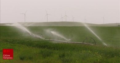 Terres agricoles assoiffées : « s'il n'y a plus d'eau, on va manger des carottes de Chine »