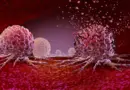 The 30-minute workout that could slash cancer cell growth by 30%