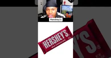 The Best Chocolate Brands in the World 🍫