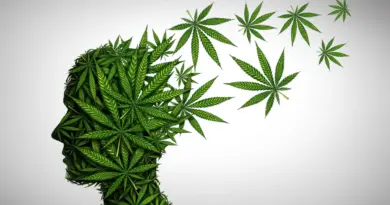 The hidden mental health danger in today’s high-THC cannabis
