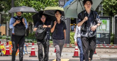 Tokyo : dix jours à plus de 35 °C, une vague de chaleur qui alerte sur l’impact du changement climatique au Japon
