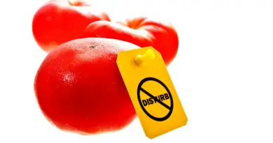 Tomate et intestin irritable : faut-il s'en méfier ?